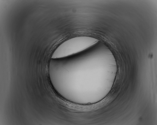 X0000102490048200808081106