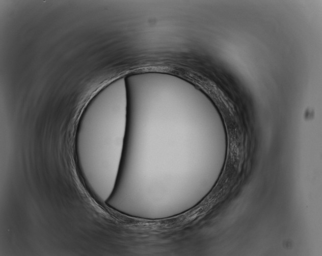 X0000102490049200808081106