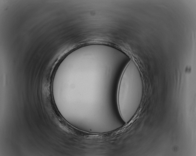 X0000102490050200808081106