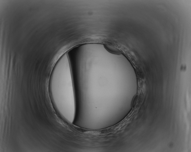 X0000102490051200808081106