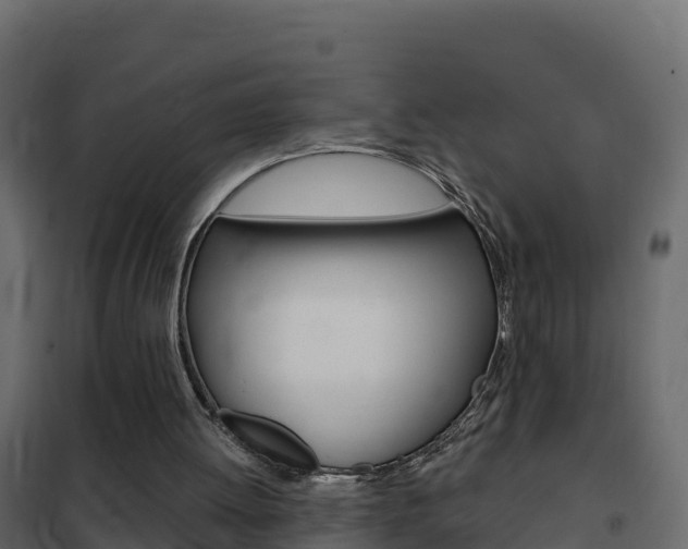 X0000102490052200808081106