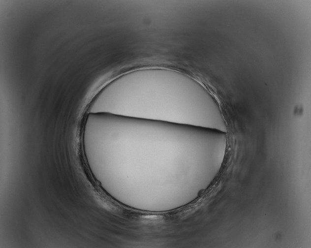 X0000102490053200808081106