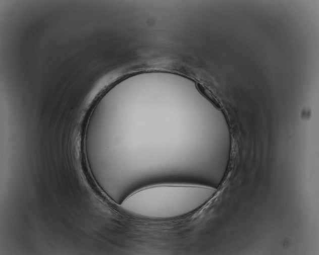 X0000102490054200808081106
