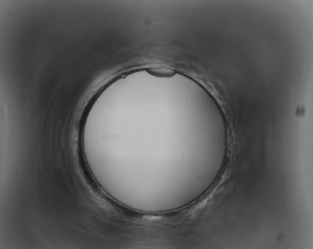 X0000102490055200808081106