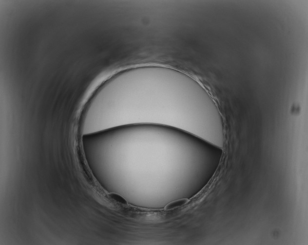 X0000102490056200808081106