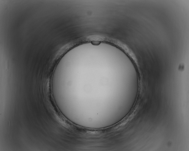 X0000102490057200808081106