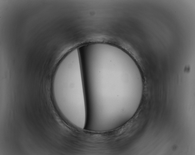 X0000102490058200808081106