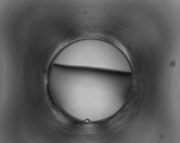 X0000102490059200808081106
