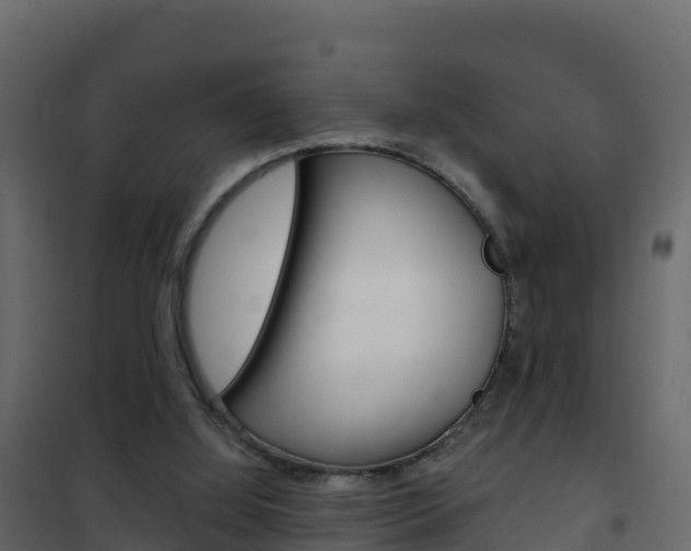 X0000102490060200808081106