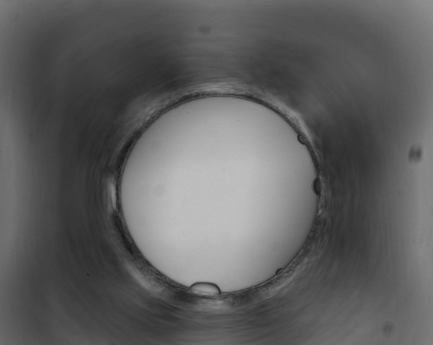X0000102490061200808081106