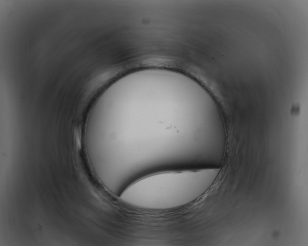 X0000102490062200808081106