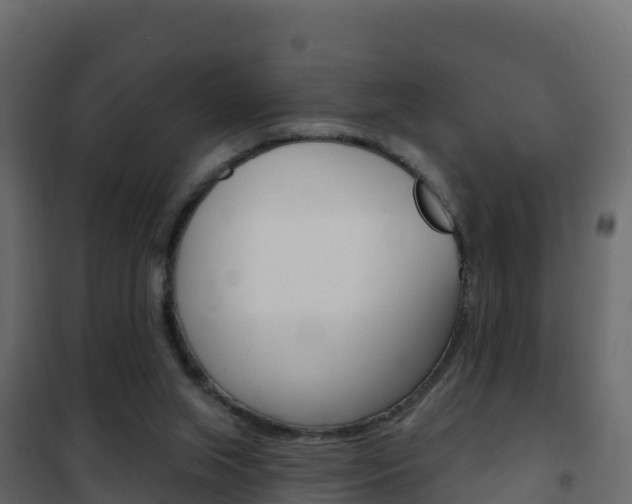 X0000102490063200808081106