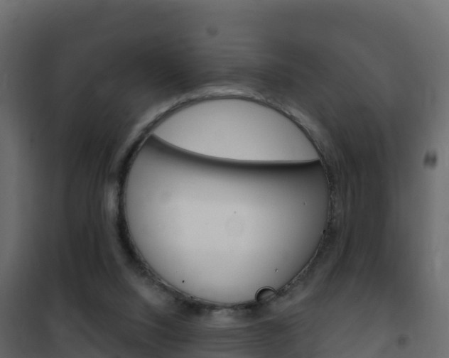X0000102490064200808081106