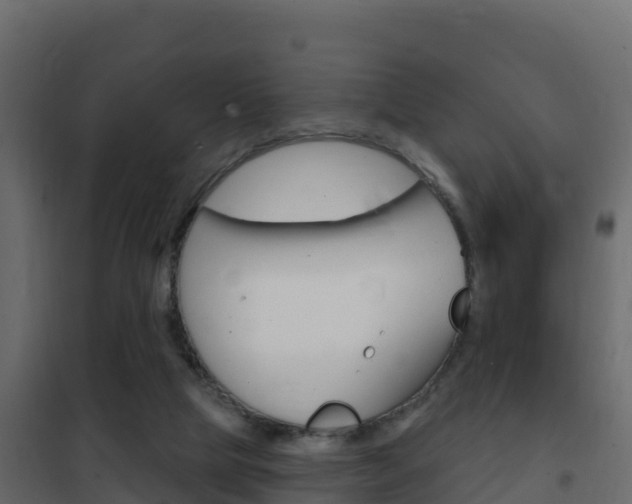 X0000102490065200808081106