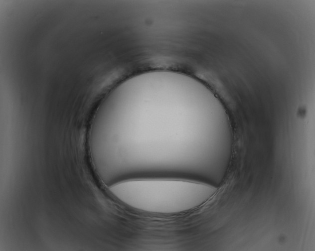 X0000102490066200808081106