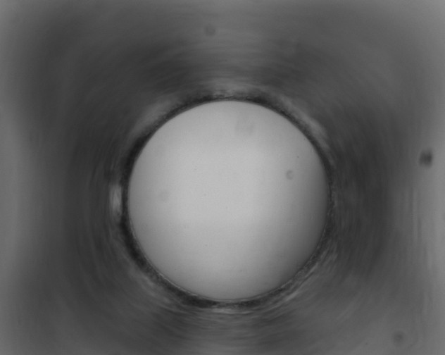 X0000102490067200808081106