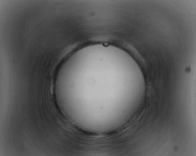 X0000102490068200808081106