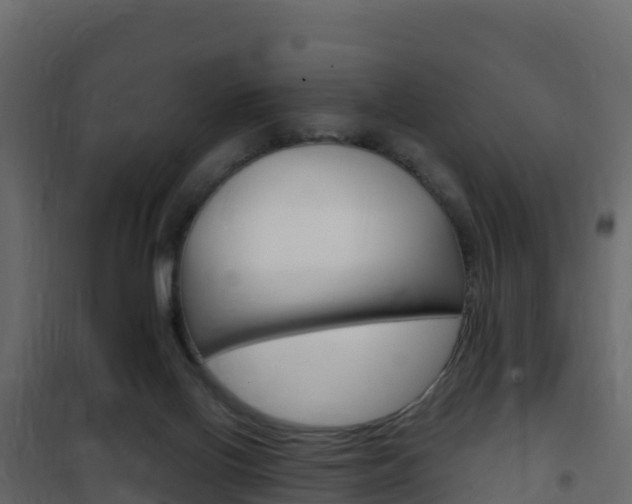 X0000102490070200808081106