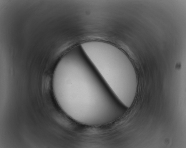 X0000102490071200808081106