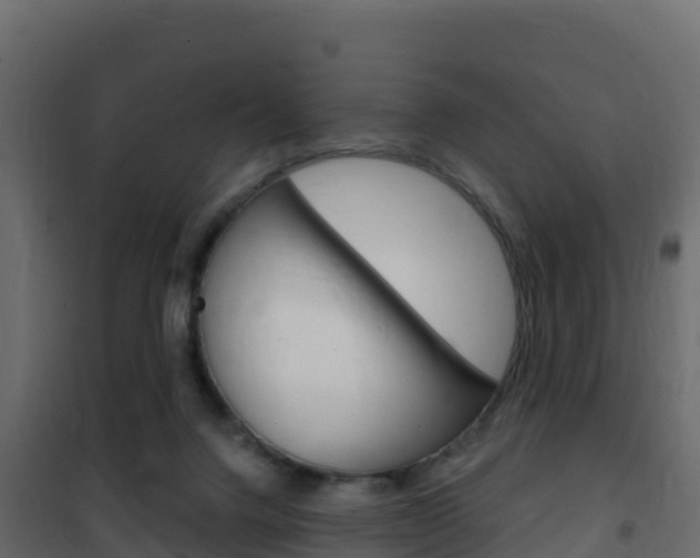 X0000102490072200808081106