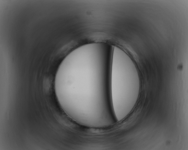 X0000102490073200808081106