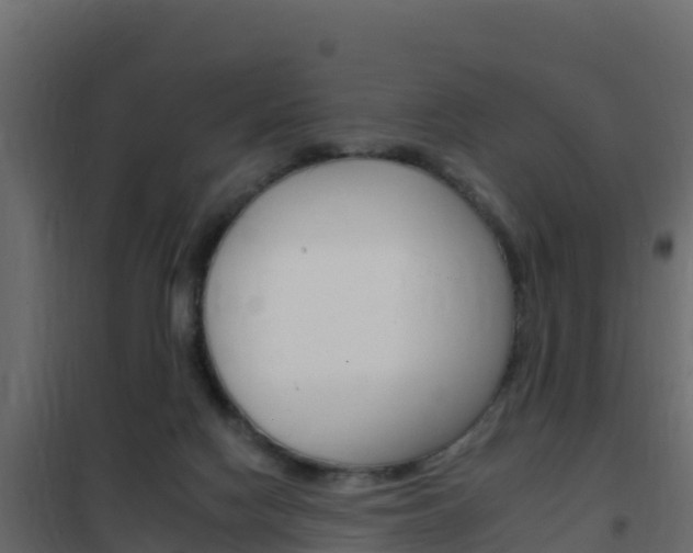 X0000102490074200808081106