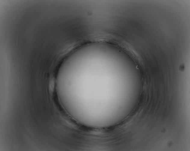 X0000102490076200808081106