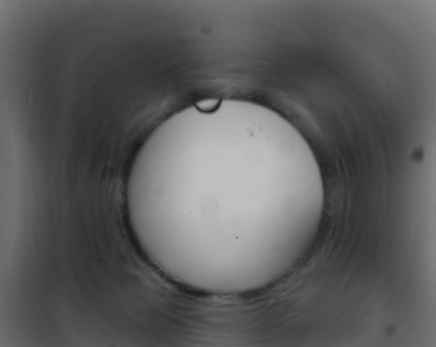 X0000102490077200808081106