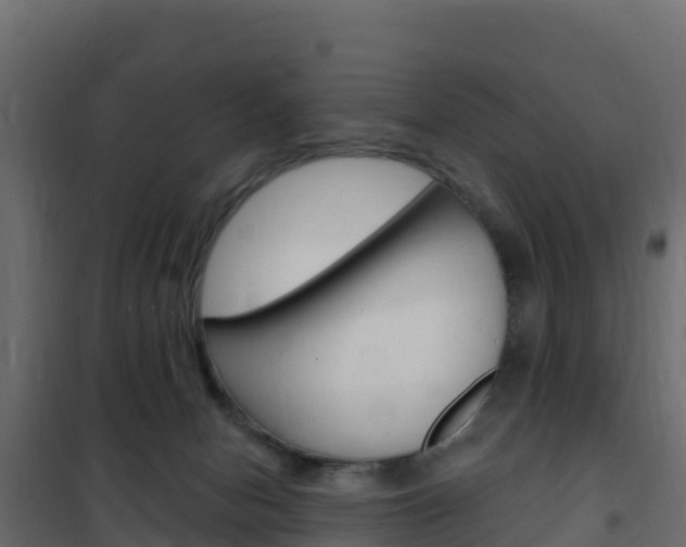 X0000102490078200808081106
