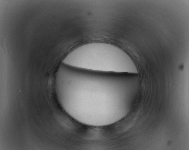 X0000102490079200808081106