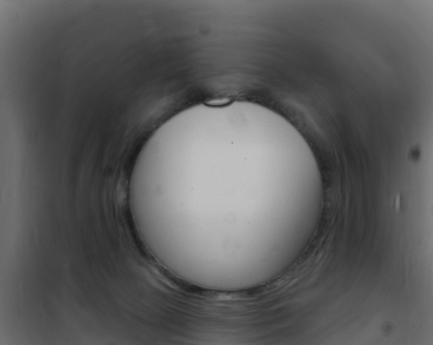 X0000102490081200808081106