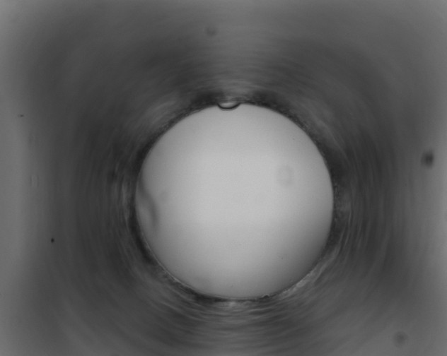X0000102490082200808081106