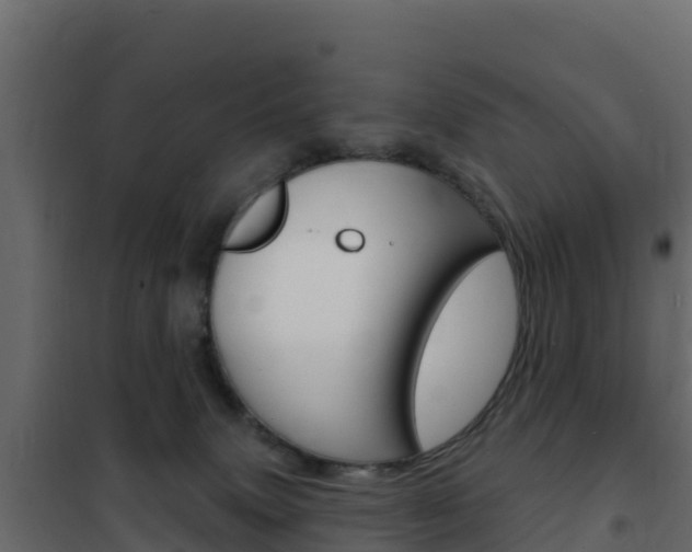 X0000102490083200808081106
