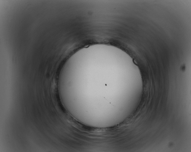 X0000102490084200808081106