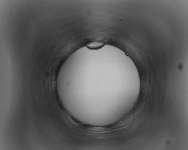 X0000102490085200808081106