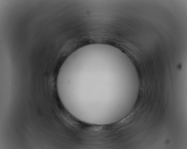 X0000102490086200808081106