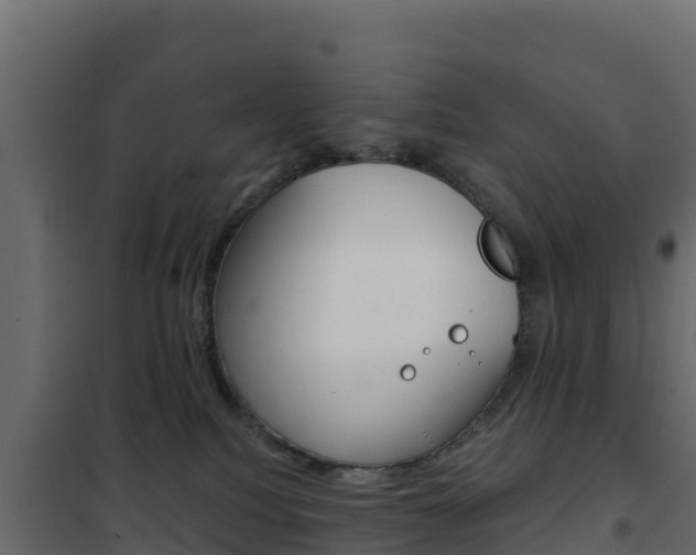 X0000102490088200808081106
