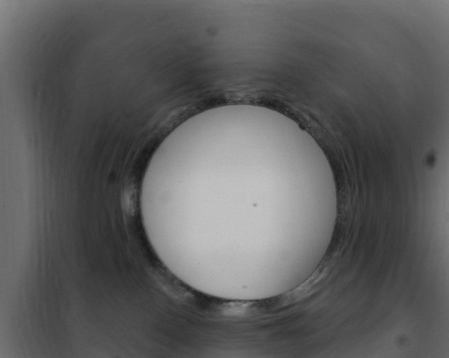 X0000102490090200808081106