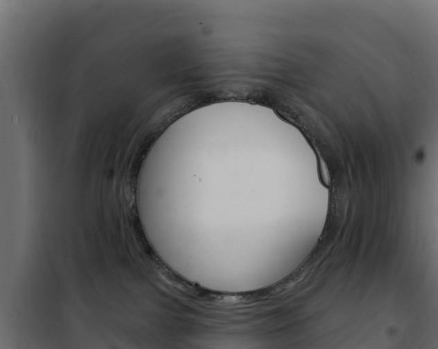 X0000102490091200808081106