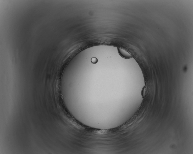X0000102490092200808081106