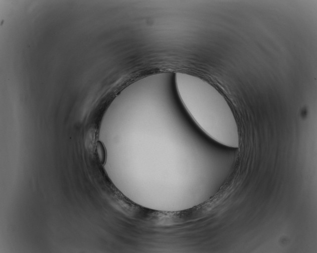 X0000102490093200808081106