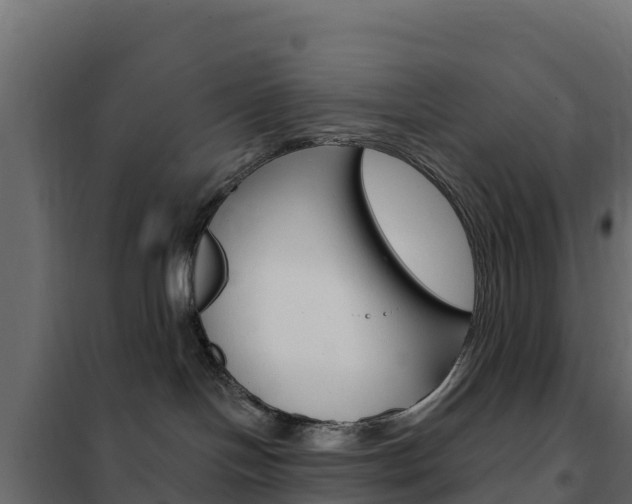X0000102490094200808081106