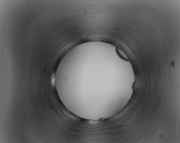 X0000102490095200808081106