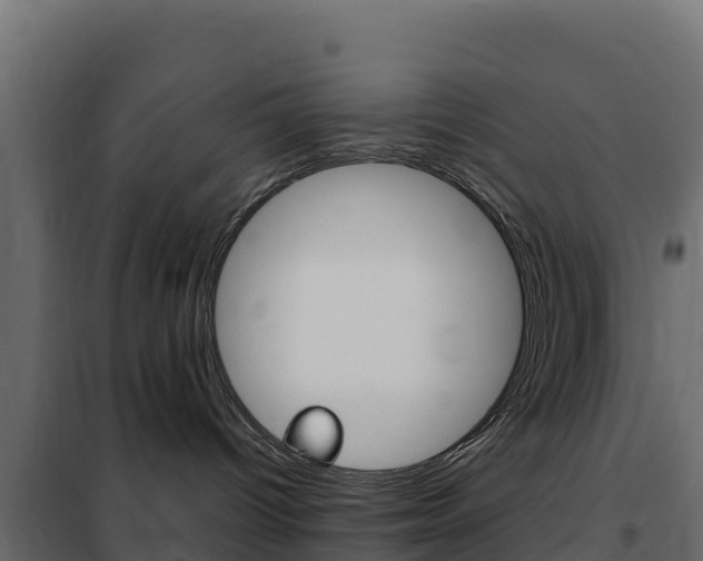 X0000102490096200808081106