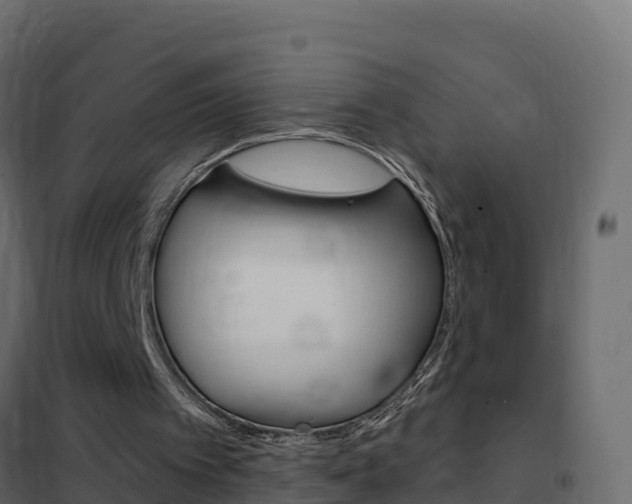 X0000102490097200808081105