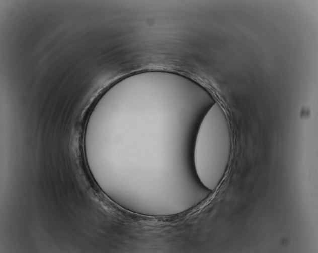 X0000102490098200808081105