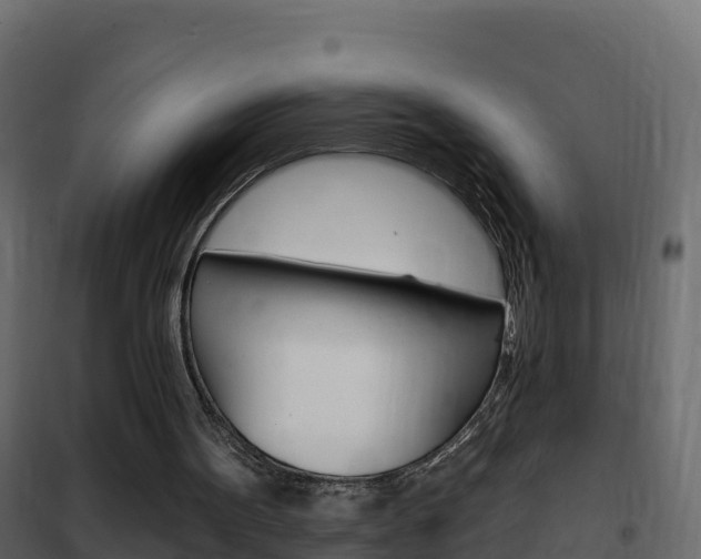 X0000102490099200808081105