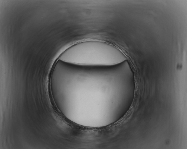 X0000102490100200808081105