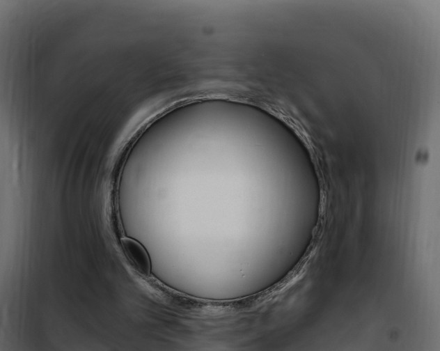X0000102490101200808081105