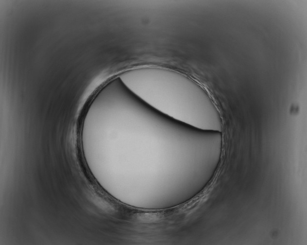 X0000102490102200808081105